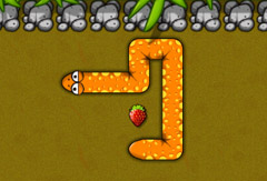 Snake